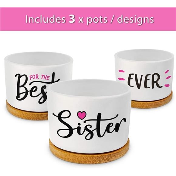 Pretty Sister Gift,Our Best Sister Ever Pots are Beautiful Gifts for Mothers Day - Picture 2 of 6
